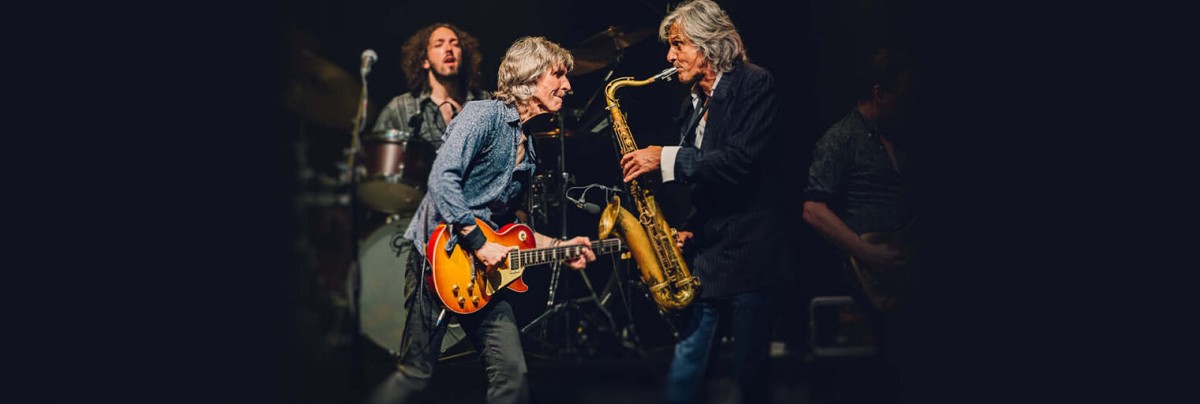 concert dire straits experience