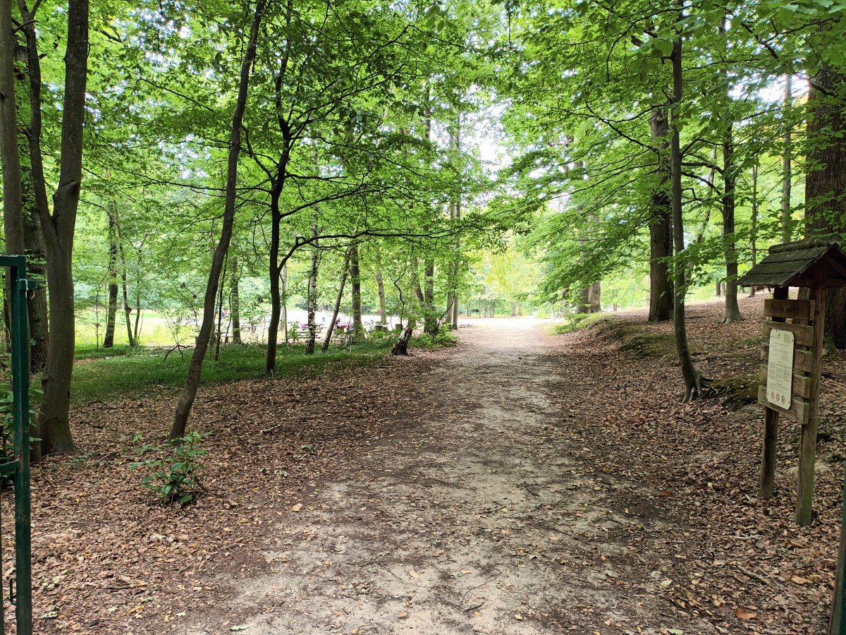 Rando 14km bois Pont Colbert (78)