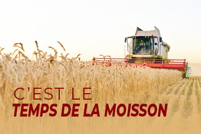 15 Août  Fête de la Moisson et soirée dansante