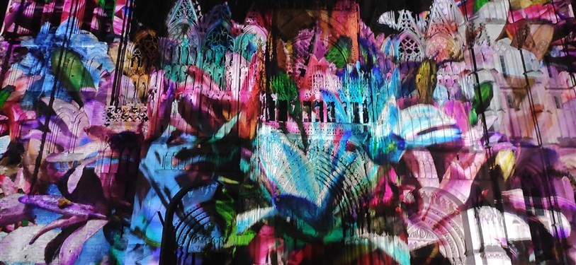 Cathédrale de lumière : Floraison sauvage 1