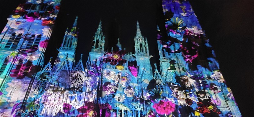 Cathédrale de lumière : Floraison sauvage 2