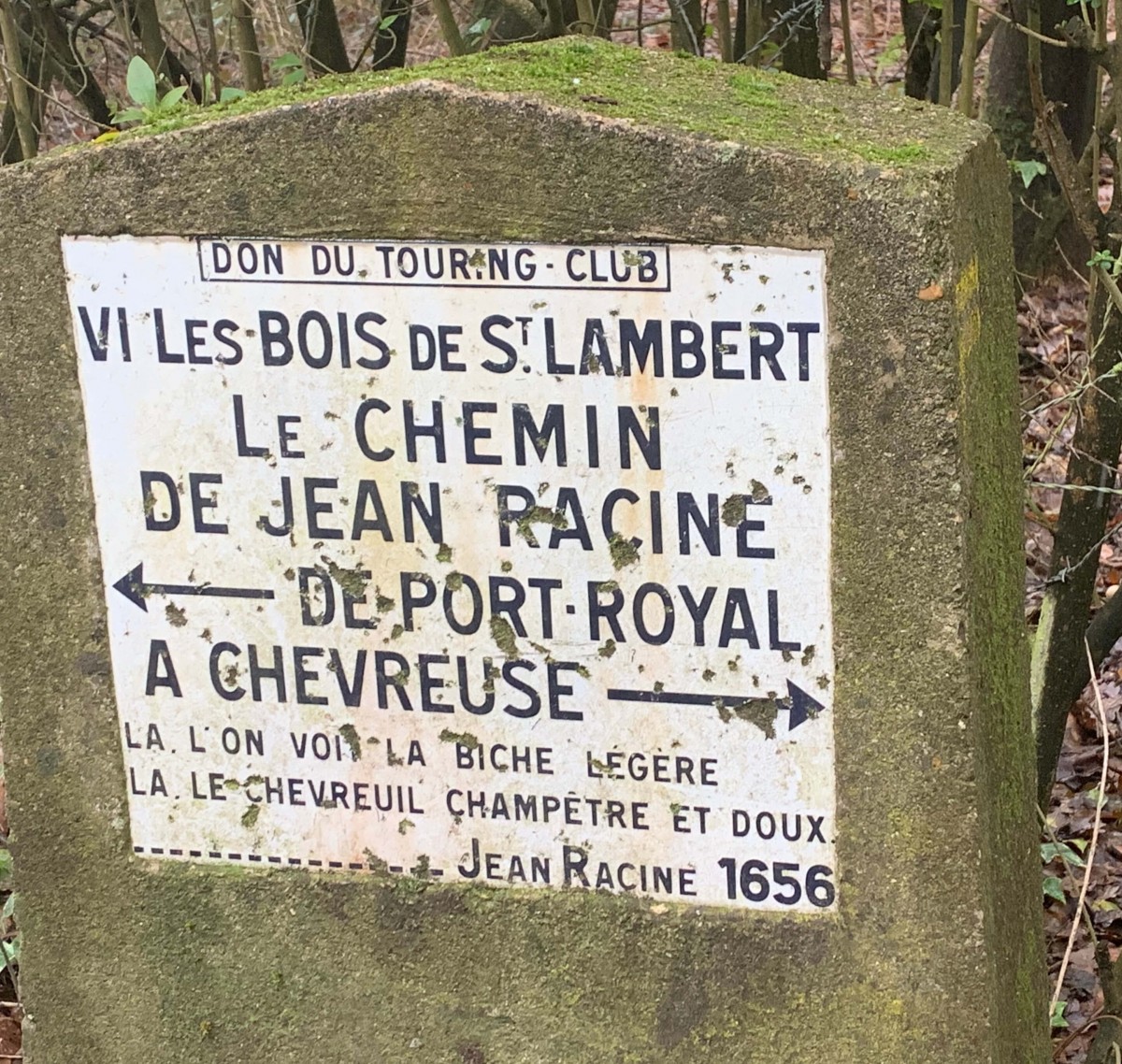 Petite randonnée en forêt suivie d'un apéritif dînatoire