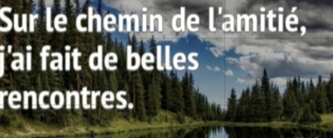 Réunion d'information sur l'association AFS