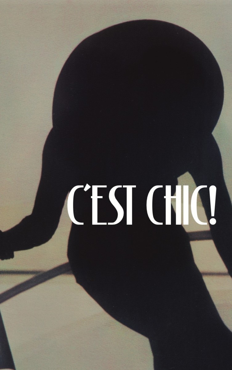 C est chic ! Sheila Metzner et Lilian Bassman