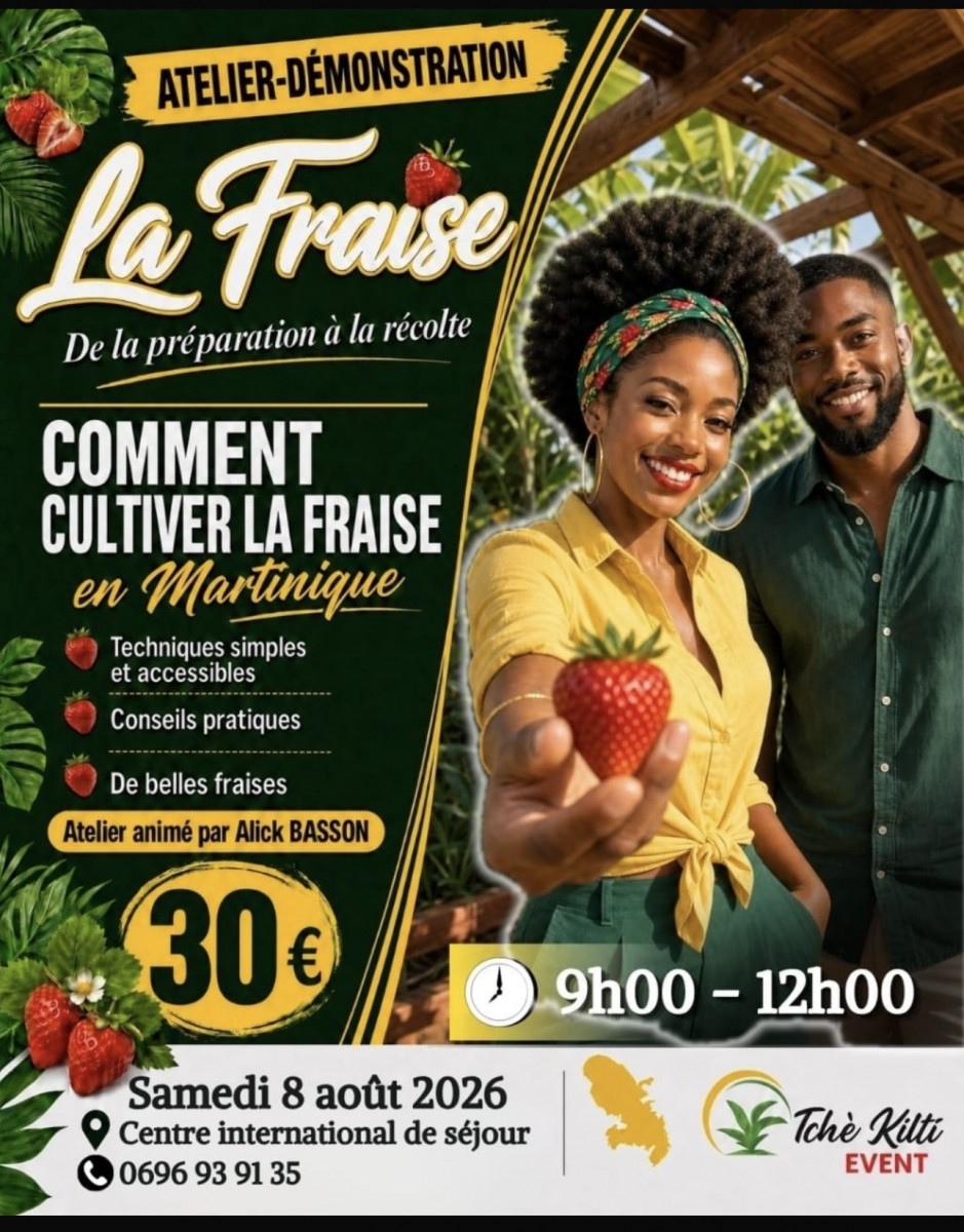 Atelier culture de la fraise