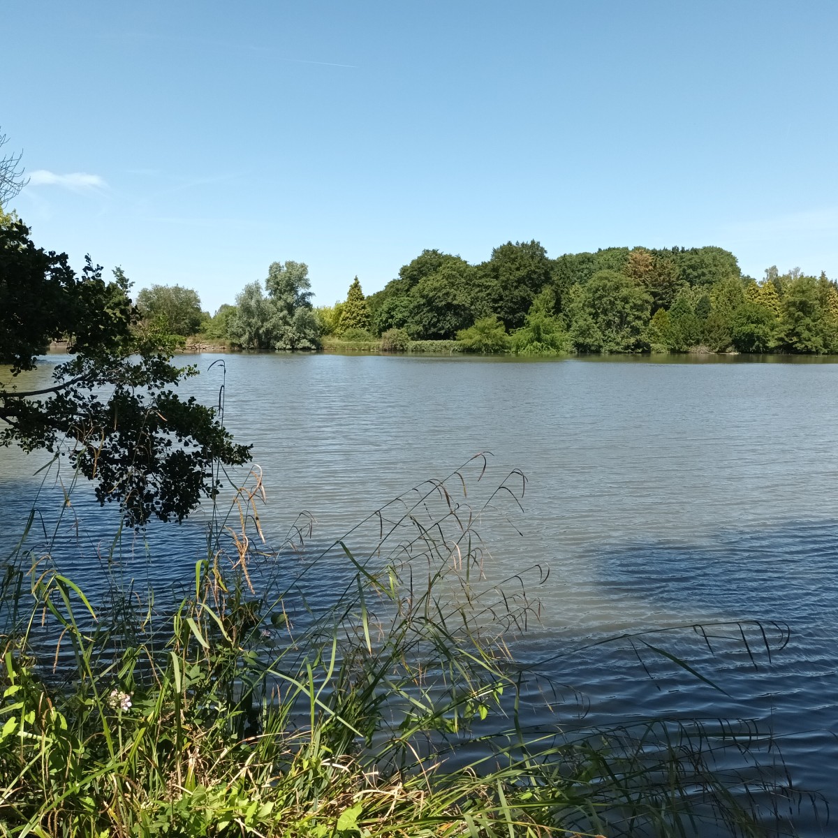 Rando 16km forêt et arboretum