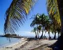 16- Les Antilles de Jonzac
