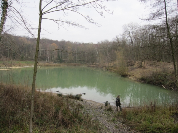 randonnée en forêt de Carnelle