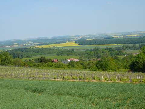 57-Petite marche  Vezon -Marieulles