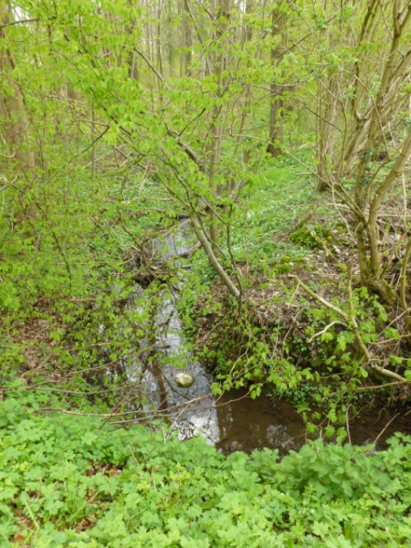 Découverte du circuit : Le Chemin des Larrons