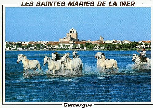 L ETE INDIEN  AUX SAINTES MARIES....