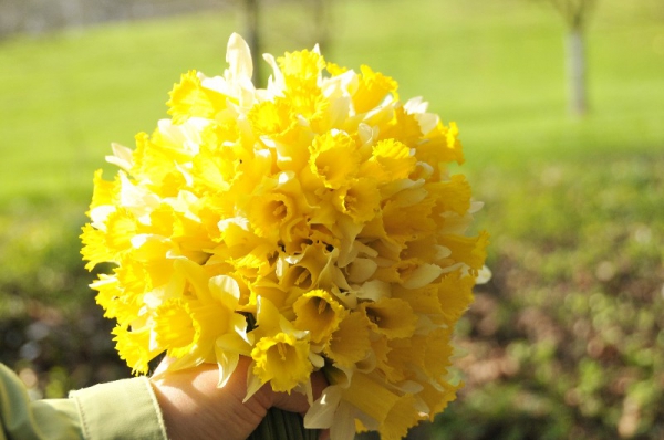 ROUEN **REPAS & SOIREE MENSUELS