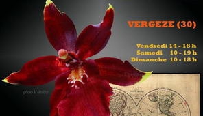 SALON DES ORCHIDEES...