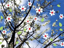 Le retour du printemps