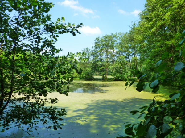 Journée rando "La Flamengrie" Aisne