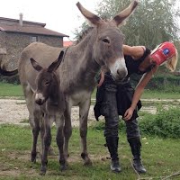 Un dimanche à la Campagne