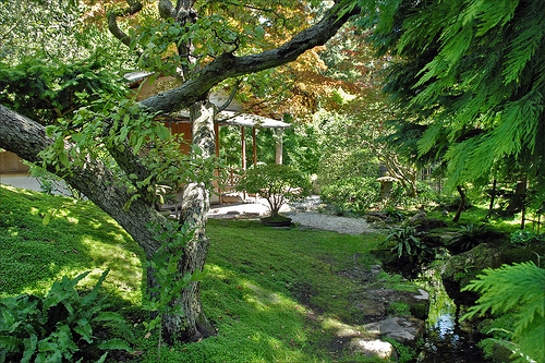 jardin&expo Albert Kahn