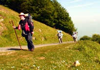 « Chemin vers Compostelle » (bis)