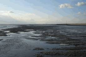 Bouzigues, Etang de Thau, Fruits de Mer.