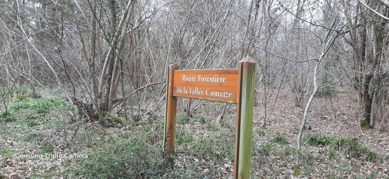 La Valle Comette